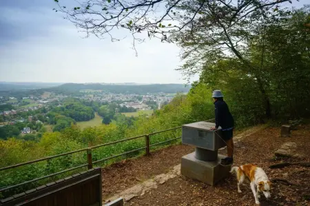 La Moineaudière, maison 14 pers. à Rochefort : photo 42