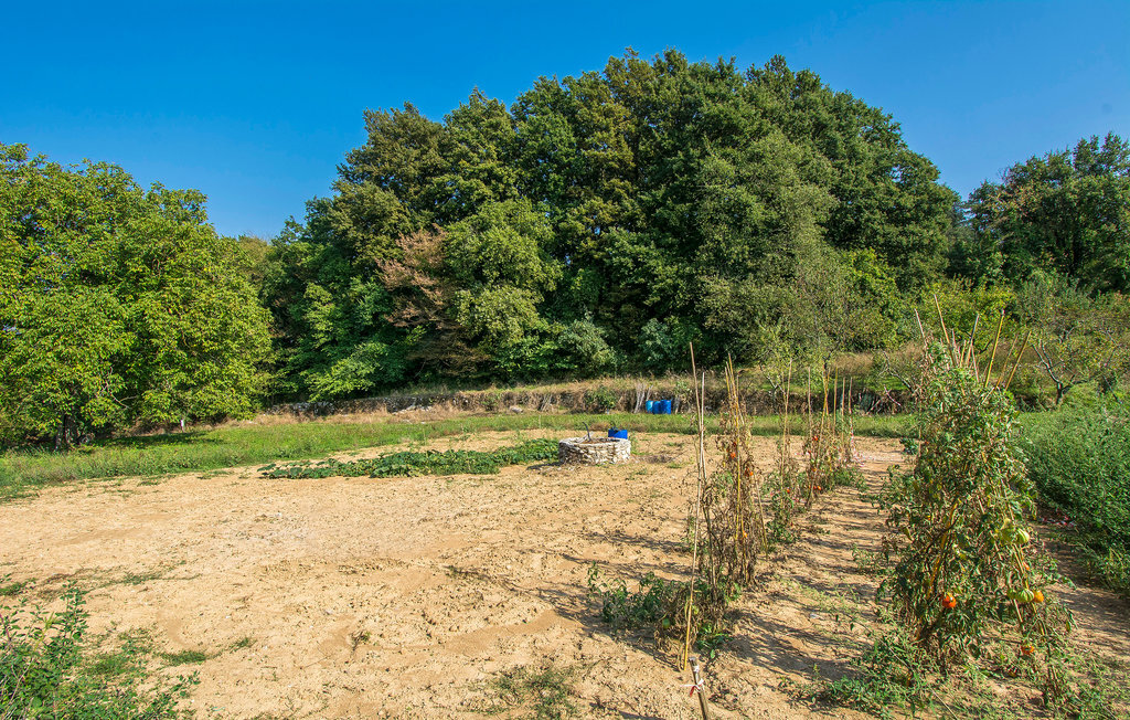 Villa La Pace, maison toscane 22 pers., piscine privée - Photo 24