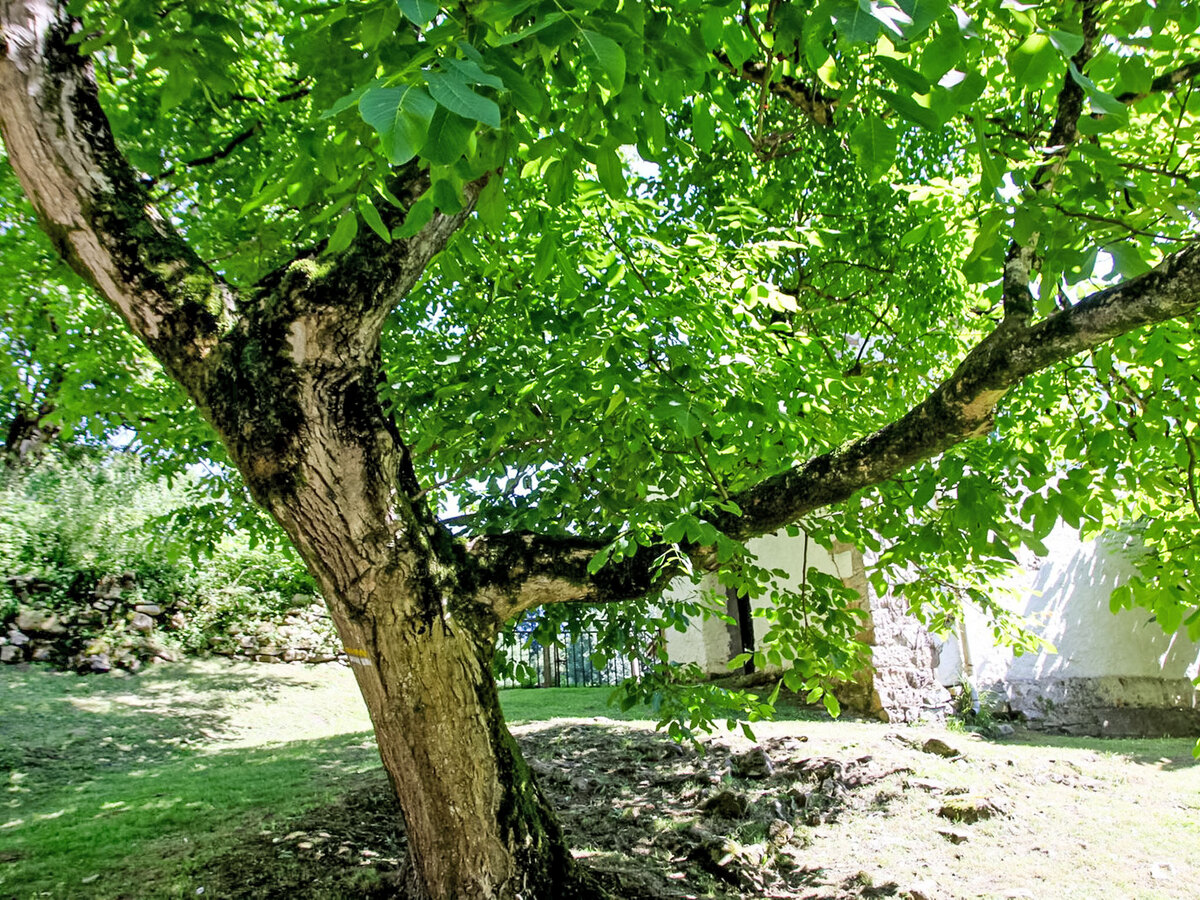 Maison rustique Uxaneko-errota à Bera, vue rivière - Photo 19