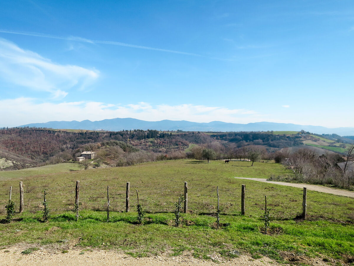 Gîte Pasqualino – Ancienne ferme rénovée près de Civita di Bagnoregio - Photo 6