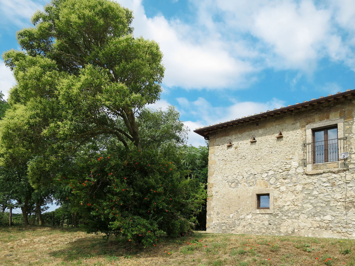 Gîte Pasqualino – Ancienne ferme rénovée près de Civita di Bagnoregio - Photo 31