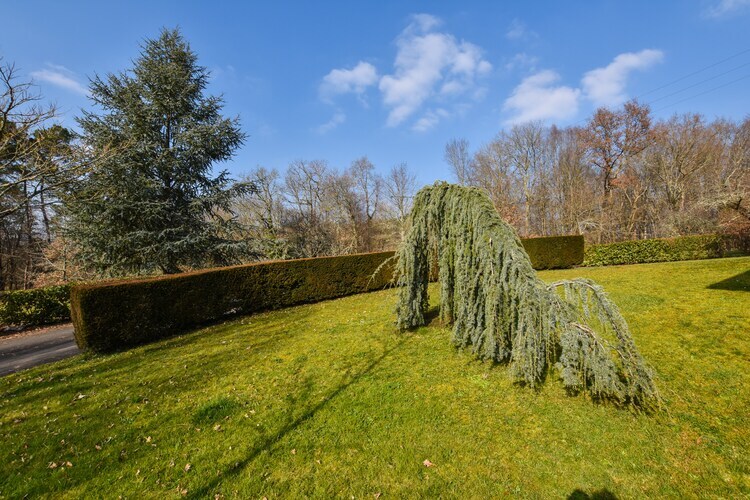 La Maison Albizzia, maison 4 pers. Périgord - Photo 17