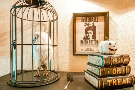 Les Pénates, maison 8 personnes aux Ardennes : photo 40