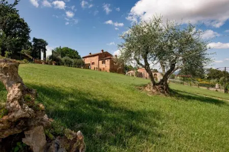 Villa Borgo Le Spighe, ferme toscane 19 pers, piscine : photo 22