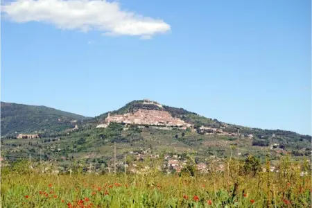 Villa Borgo Le Spighe, ferme toscane 19 pers, piscine : photo 29