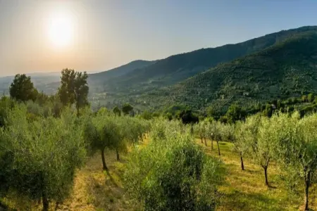 Villa Borgo Le Spighe, ferme toscane 19 pers, piscine : photo 32