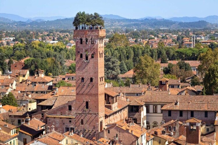 Gîte Cipressa : piscine privée et jardin de 1000 m² - Photo 31