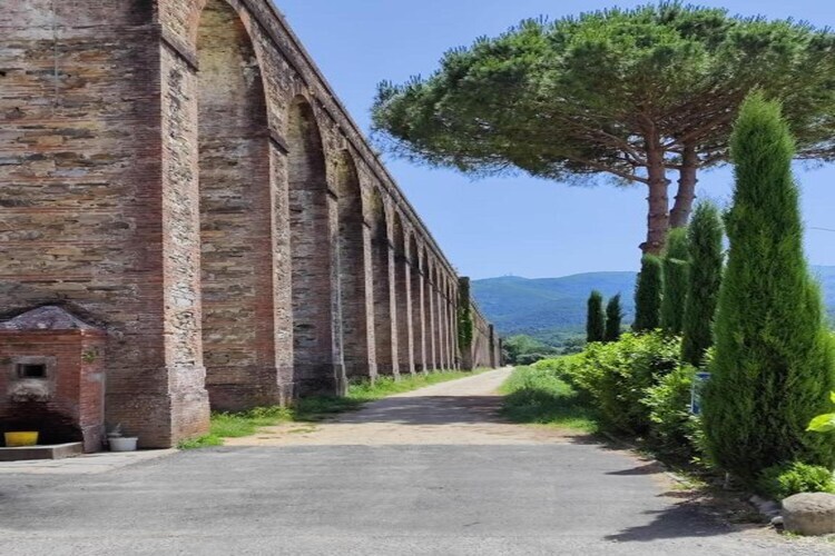 Gîte Cipressa : piscine privée et jardin de 1000 m² - Photo 40