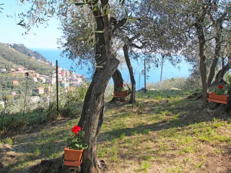 Italo, Location Maison 4 personnes à Zoagli - Photo 20