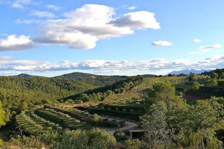 Les Fonts, gîte rural 6 personnes avec jardin - Photo 35