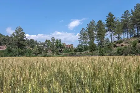 Vila Argençola, maison XIe siècle 14 pers., nature pure : photo 32