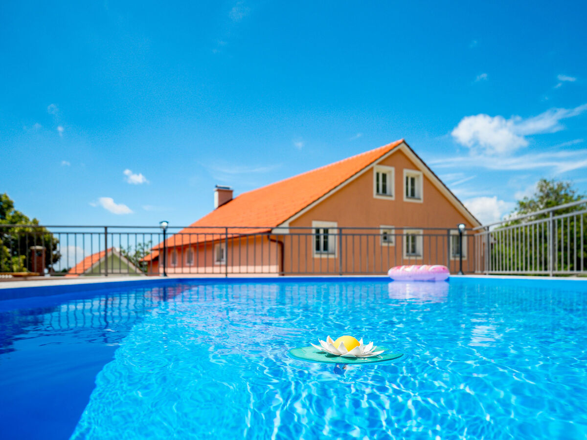 Oltari – Maison 12 pers. avec piscine privée - Photo 7