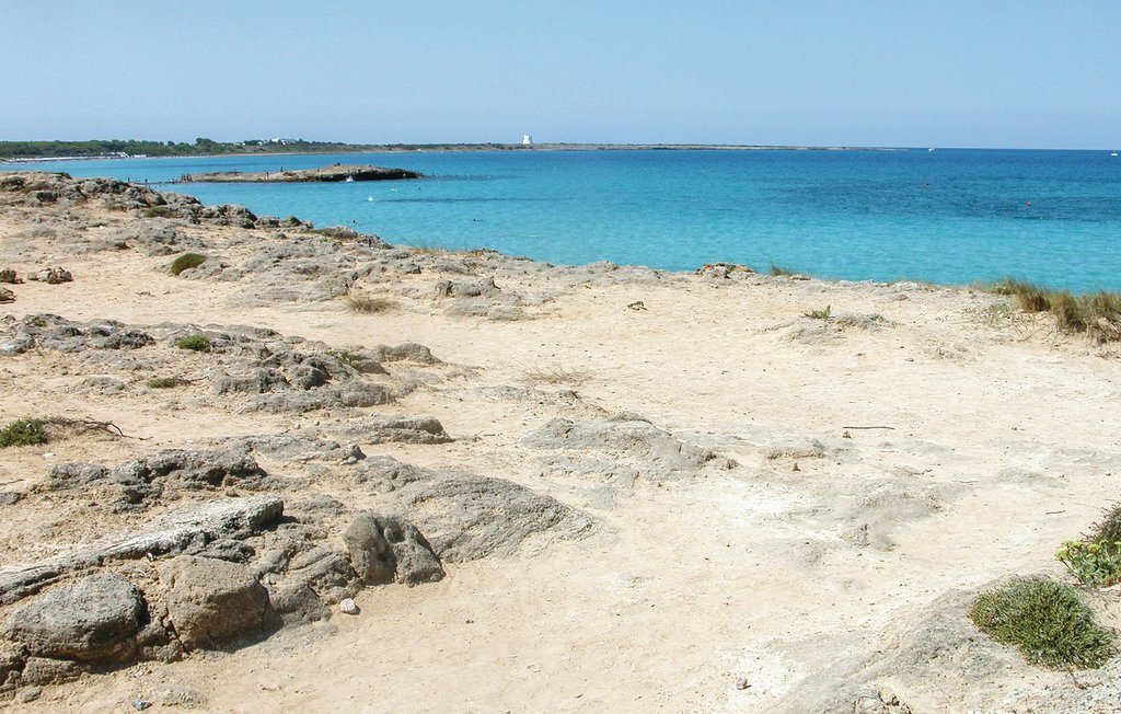 Maison avec piscine privée à Carovigno, 15 min de la mer - Photo 6