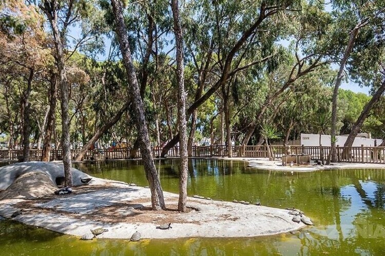 Casa Mosaico à Rojales : maison 4 pers. avec piscine - Photo 29