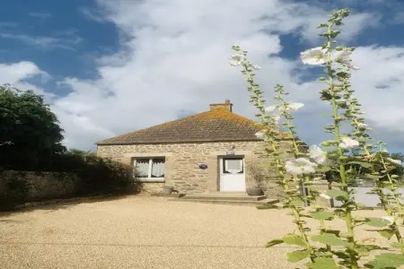 La Gloriette des Sens, gîte 4 pers. avec animaux à Cosqueville : photo 26