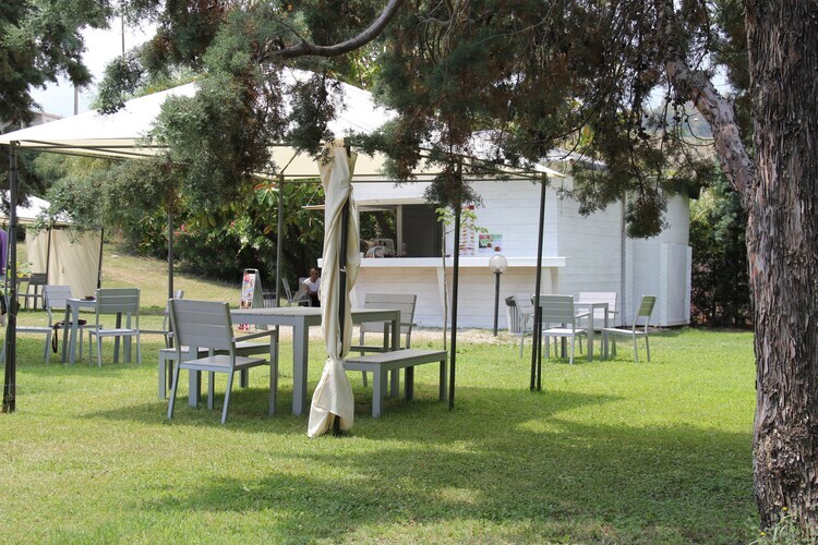 Orangery in the Green, Appartement directement au bord de la mer. - Photo 25