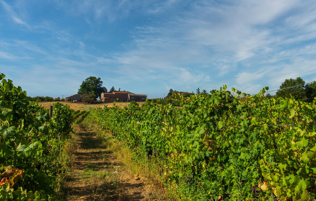 La Casina de Papou, maison avec jardin à Bassignana - Photo 22