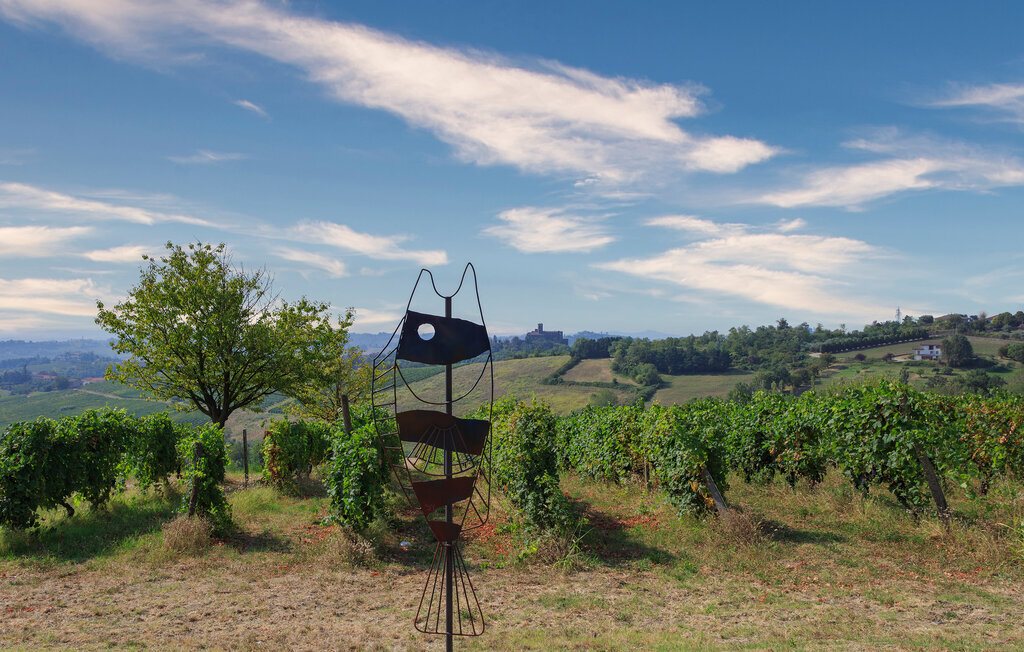 La Casina de Papou, maison avec jardin à Bassignana - Photo 23