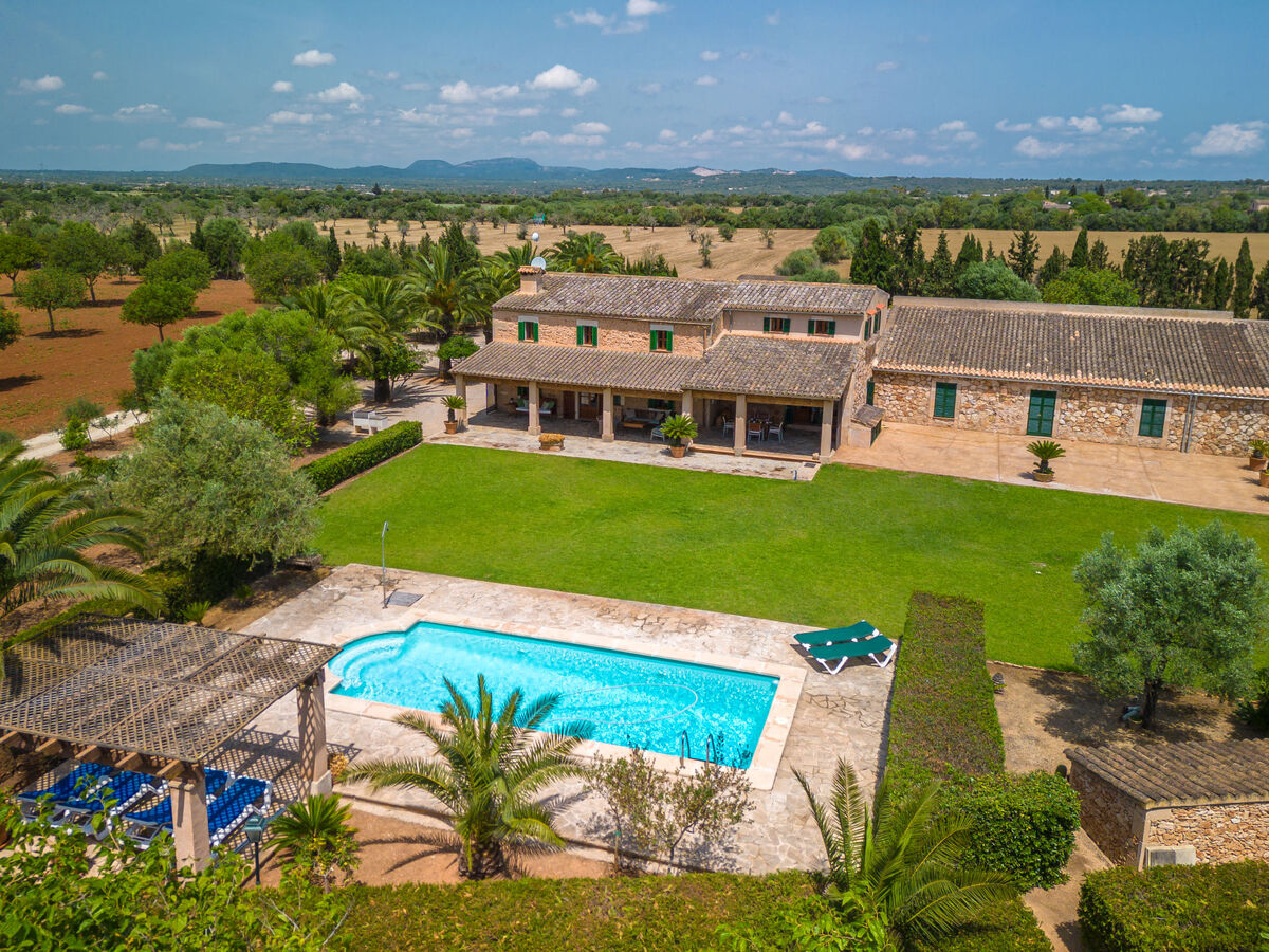 Son Viquet, maison 6 pers. avec piscine à Campos - Photo 2