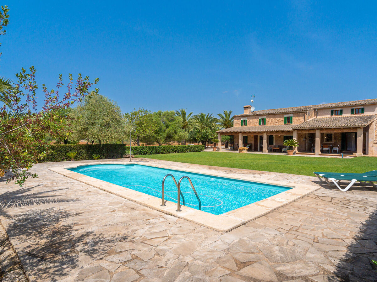 Son Viquet, maison 6 pers. avec piscine à Campos - Photo 3