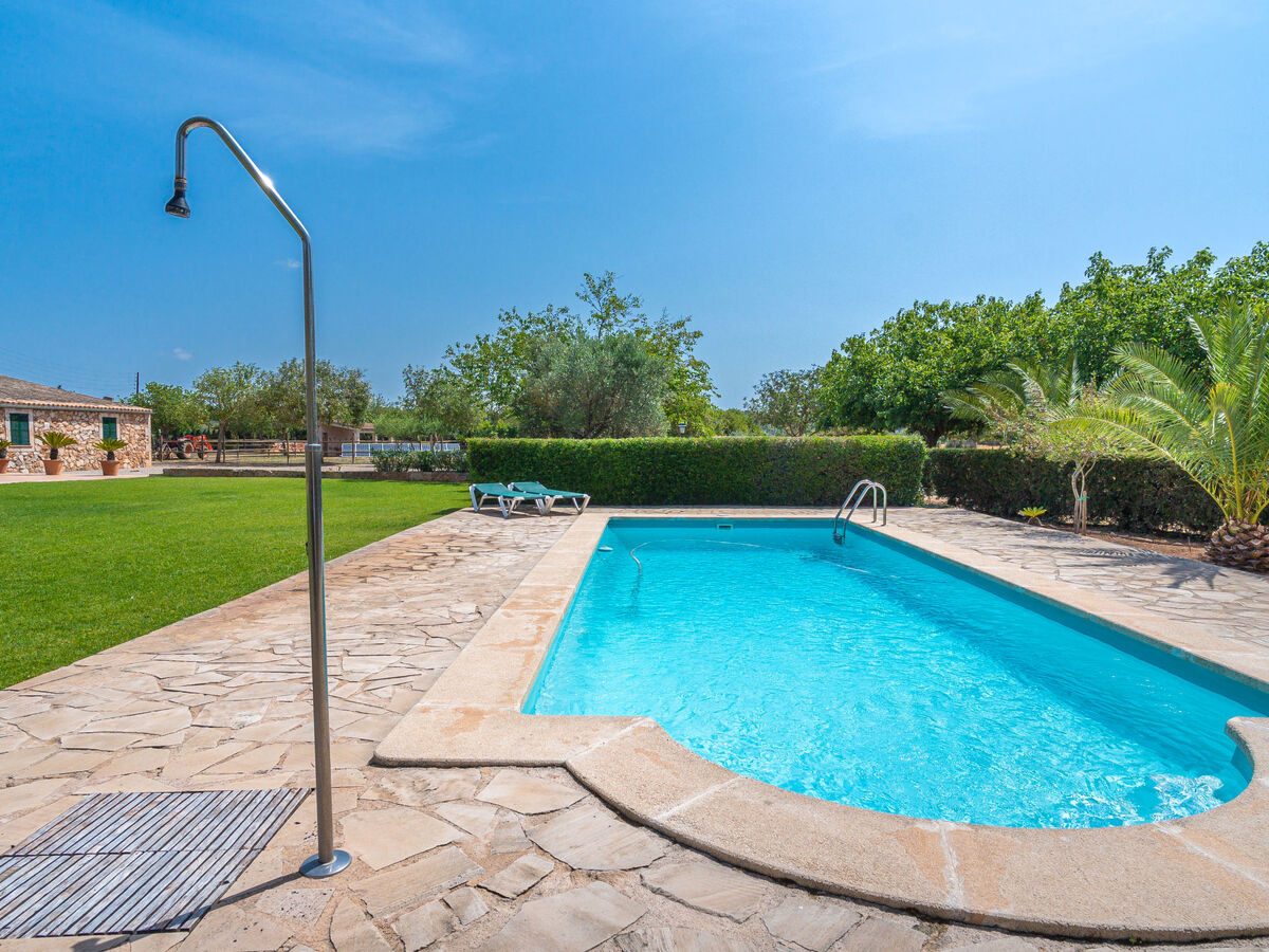 Son Viquet, maison 6 pers. avec piscine à Campos - Photo 30