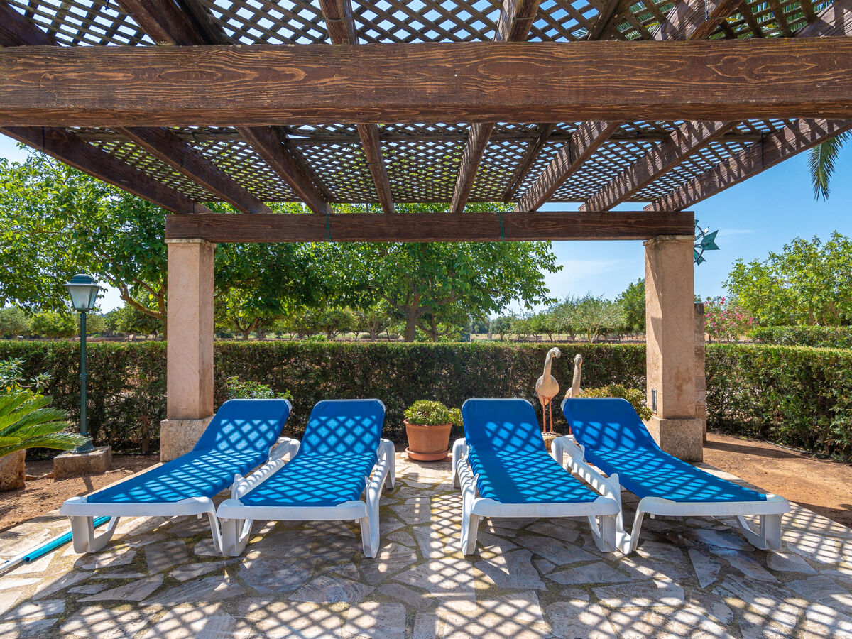 Son Viquet, maison 6 pers. avec piscine à Campos - Photo 31