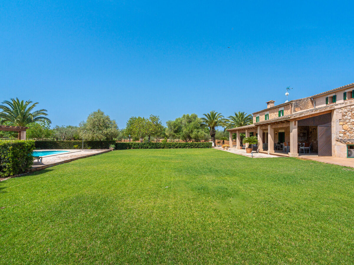 Son Viquet, maison 6 pers. avec piscine à Campos - Photo 34