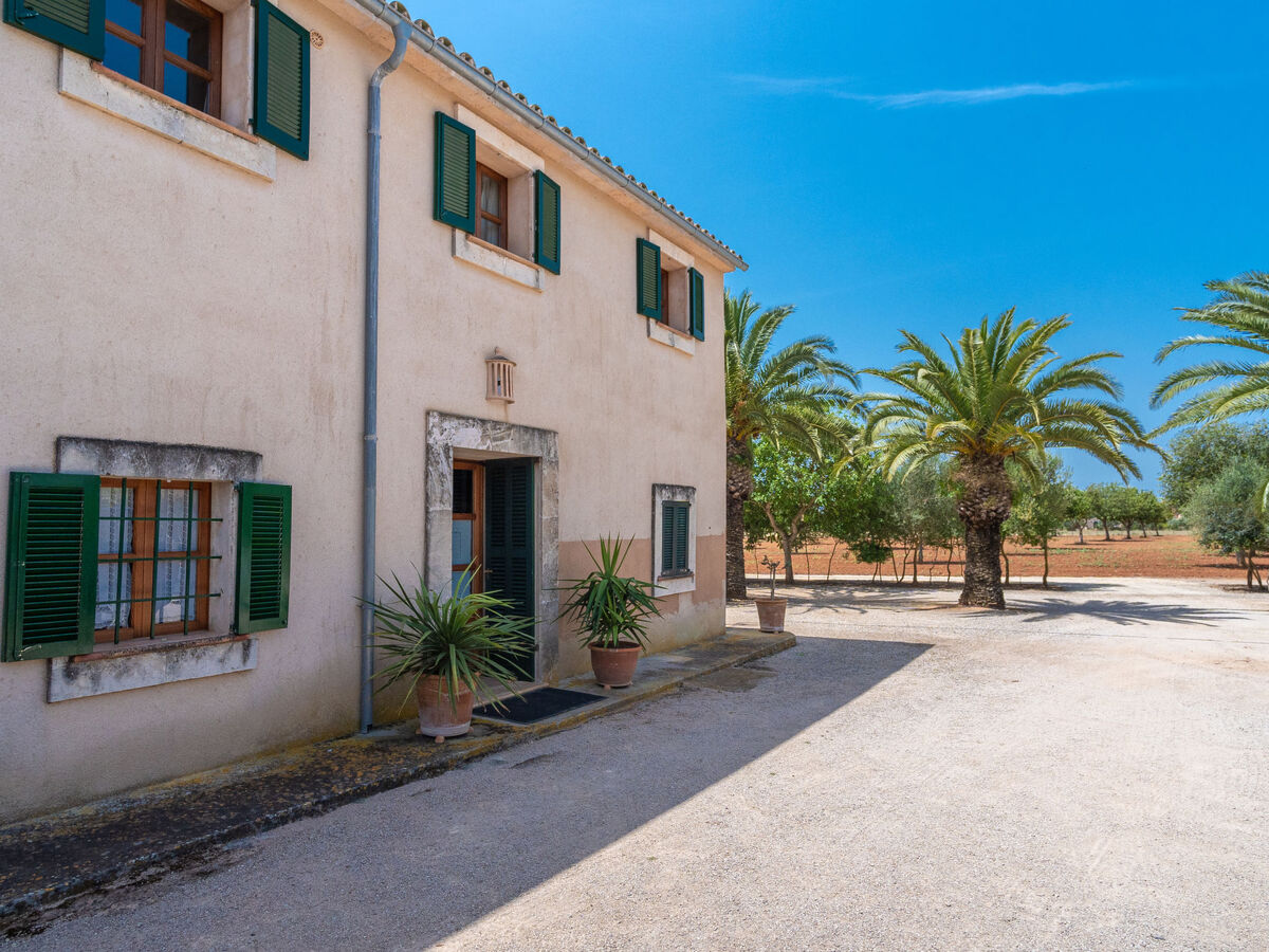 Son Viquet, maison 6 pers. avec piscine à Campos - Photo 35