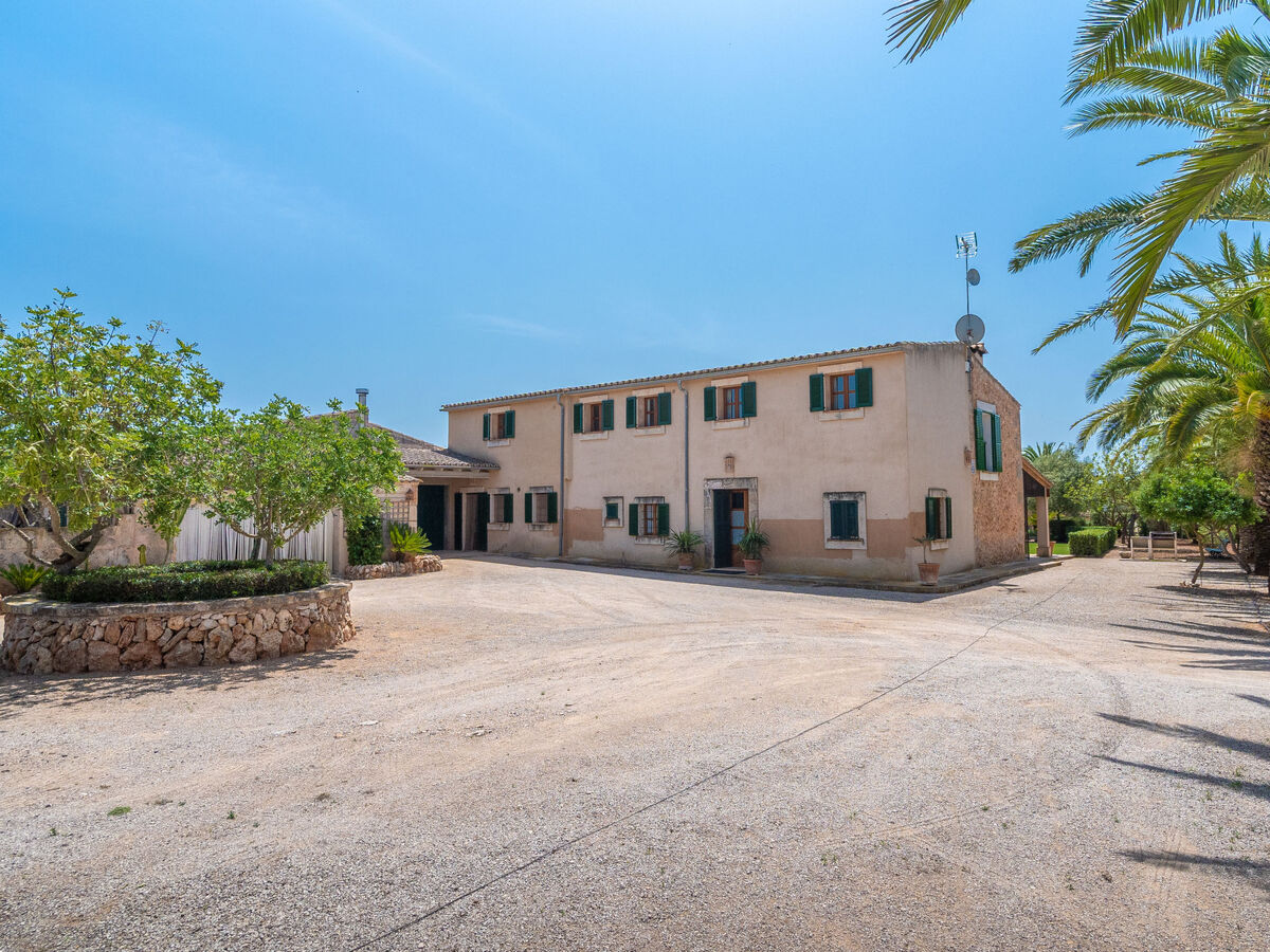Son Viquet, maison 6 pers. avec piscine à Campos - Photo 36