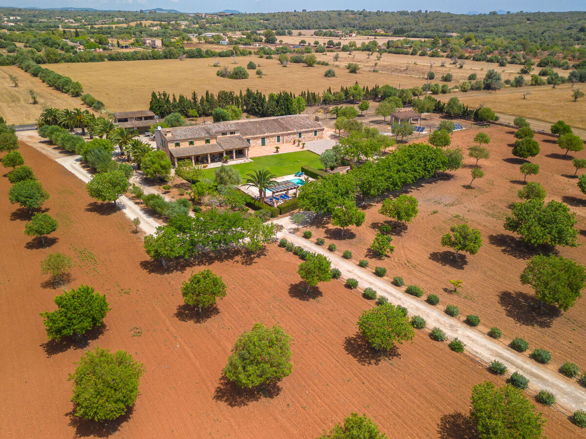 Son Viquet, maison 6 pers. avec piscine à Campos - Photo 38