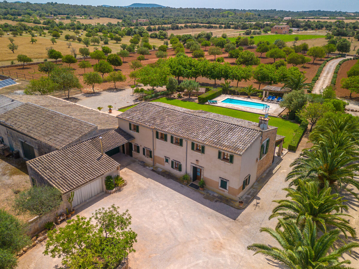 Son Viquet, maison 6 pers. avec piscine à Campos - Photo 39