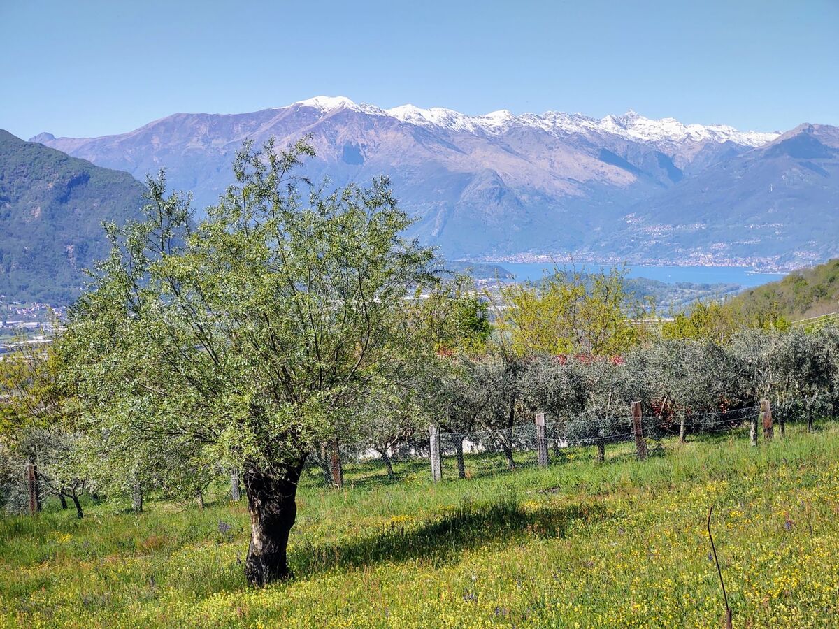 Casa Kiwi, maison 3 niveaux vue montagnes à Cercino - Photo 32