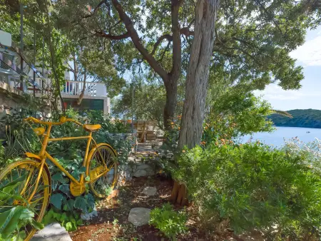 Ruža, Maison 6 personnes à Hvar Pokrivenik - Photo 10
