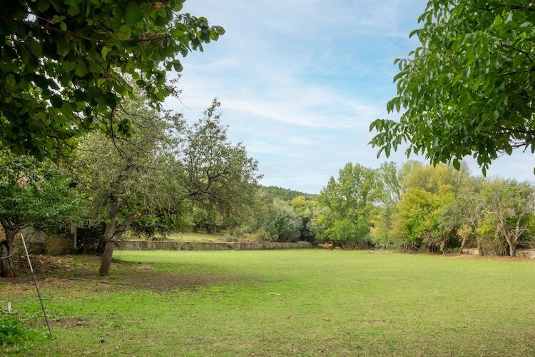 Gîte rural Casa Benllera, 4 personnes avec cheminée - Photo 33