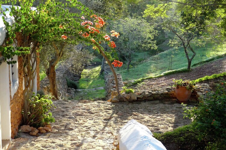 Finca Planetas, manoir 18 pers. à Ibiza avec piscine - Photo 6