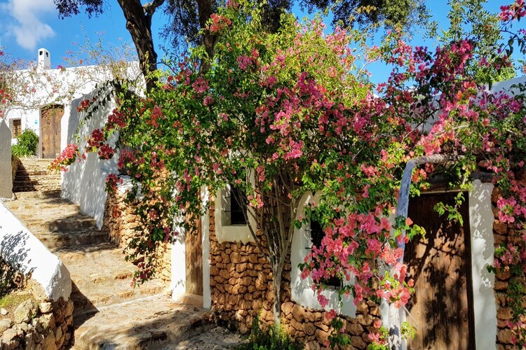 Finca Planetas, manoir 18 pers. à Ibiza avec piscine - Photo 40