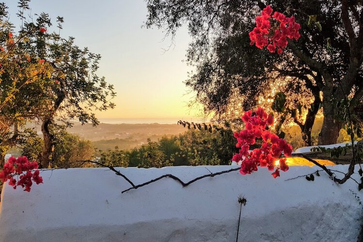 Finca Planetas, manoir 18 pers. à Ibiza avec piscine - Photo 48