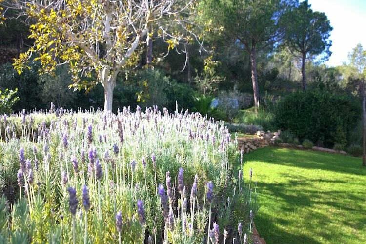 Finca Planetas, manoir 18 pers. à Ibiza avec piscine - Photo 56
