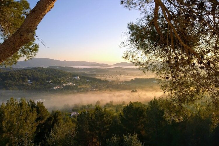 Finca Planetas, manoir 18 pers. à Ibiza avec piscine - Photo 60