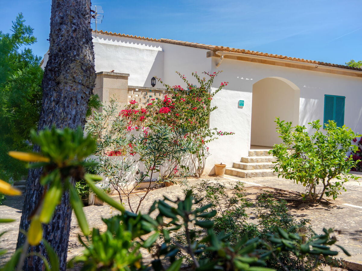 Villa Son Granada - 8 pers., piscine et vue mer à Cala Blava - Photo 39