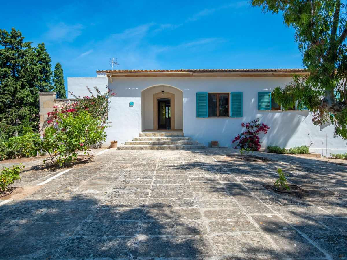 Villa Son Granada - 8 pers., piscine et vue mer à Cala Blava - Photo 40