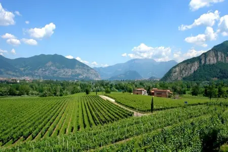 Villa écologique Franciacorta avec bain à remous : photo 38