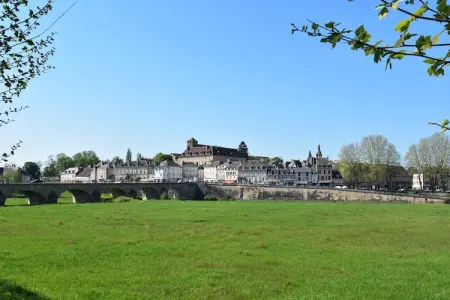 La Chantenay, Belle maison de vacances authentique avec piscine - Photo 28