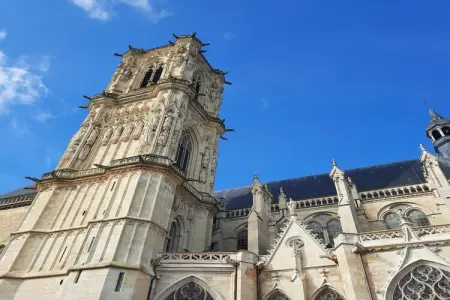 La Chantenay, Belle maison de vacances authentique avec piscine - Photo 37