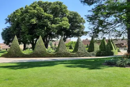 La Chantenay, Belle maison de vacances authentique avec piscine - Photo 39