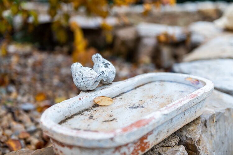 Masía Vinaixa, gîte rural 4 personnes avec piscine - Photo 31