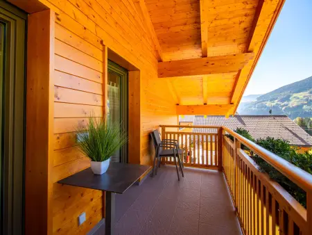 Appartement Spieglhof à 1 050 m, vue montagne et vallée : photo 39