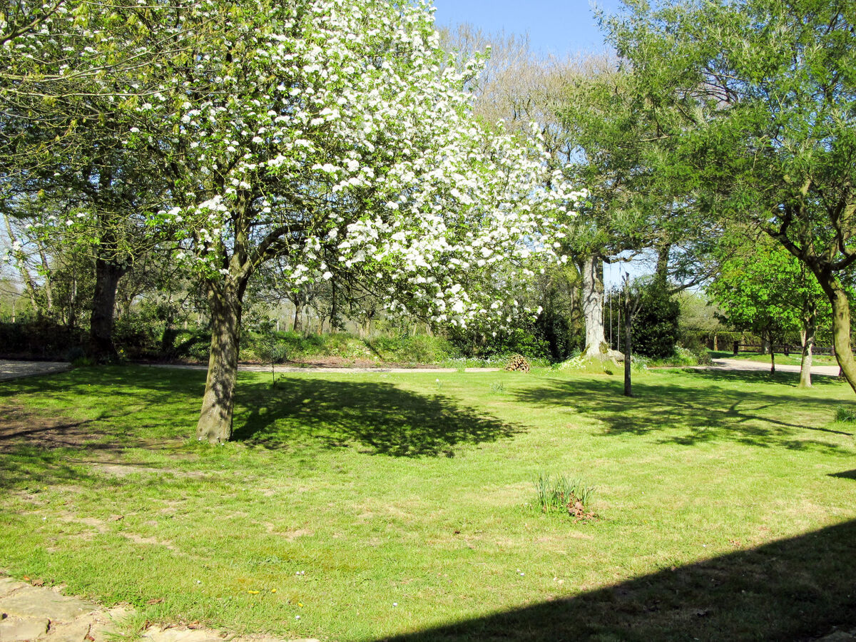 La Bergerie – Maison 120 m² sur 10 ha à Saint-Sauveur-de-Vicomte - Photo 8