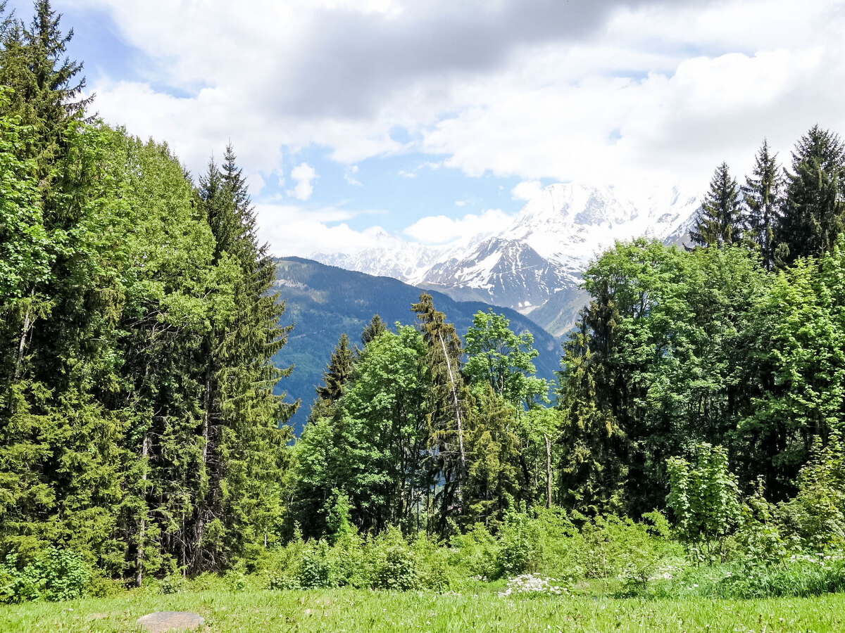 Le Taguy - Studio 26 m² vue panoramique montagnes - Photo 18