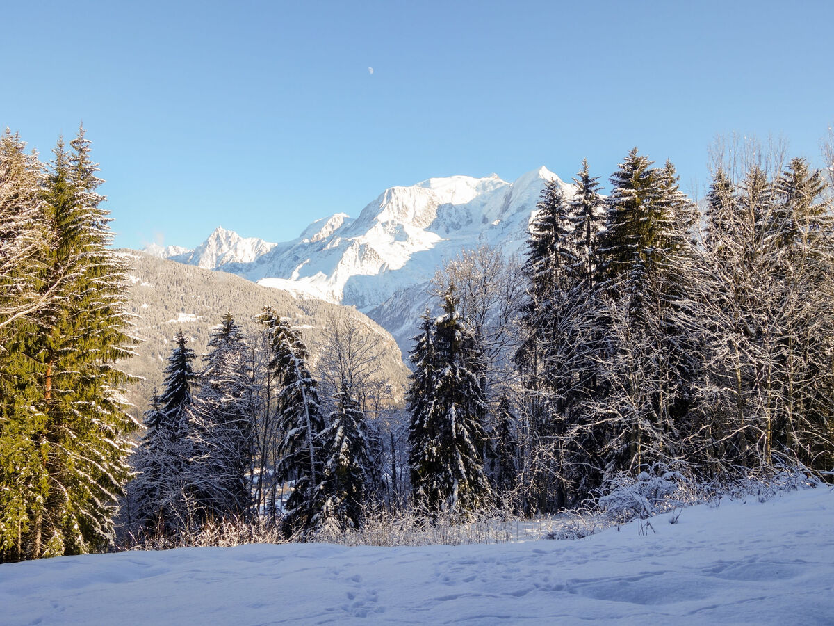 Le Taguy - Studio 26 m² vue panoramique montagnes - Photo 19